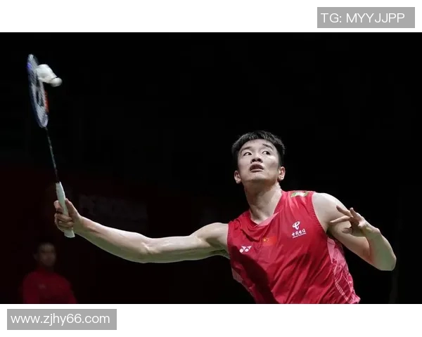 南京羽毛球队在大师赛中的个人能力展现与技术分析 南京羽毛球队在大师赛中的个人能力展现与技术分析