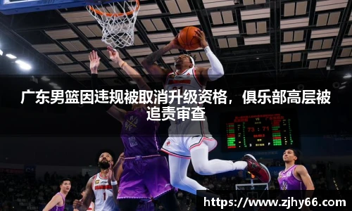 广东男篮因违规被取消升级资格，俱乐部高层被追责审查